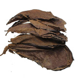 50 Large IAL Indian Almond Leaves - A Grade