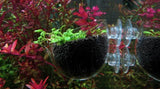 2x Novo Glass Pot
