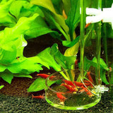 Fluxus Clear Acrylic Shrimp Feeding Tube And Dish Tray 45cm/17,7"
